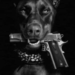 Meet your Posher, Jose